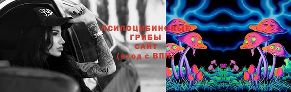 Альфа ПВП Надым