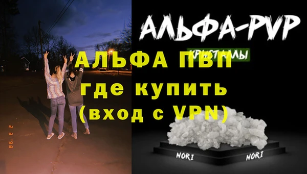 Альфа ПВП Надым
